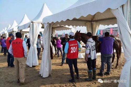 砀山最新事件爆料新闻,揭秘突发事件背后的真相